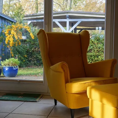 Laran * Цингст