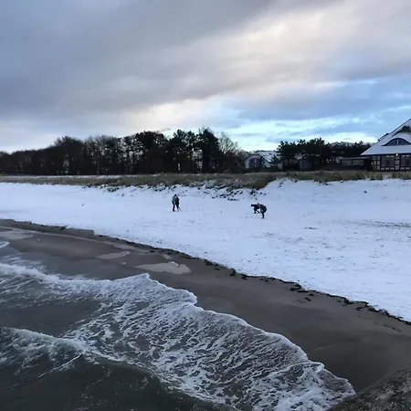 Laran Zingst